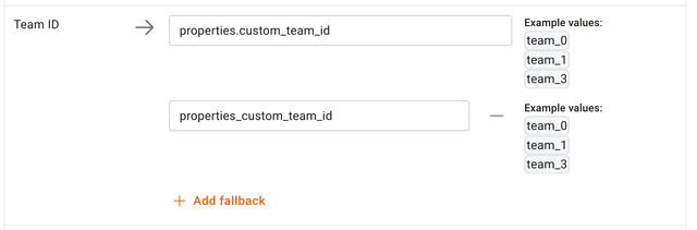 Screenshot of fallback mappings config